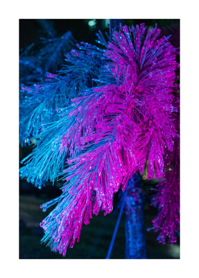 Alien Pine 50x70 cm
