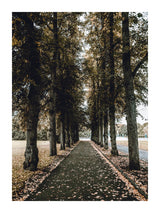 Autumn In Oslo 30x40 cm