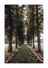 Autumn In Oslo 50x70 cm