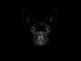 Bark in black 30x40 cm