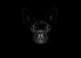 Bark in black 50x70 cm