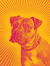 Bark sun rising 30x40 cm