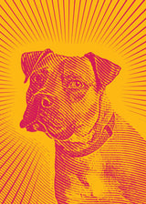 Bark sun rising 50x70 cm