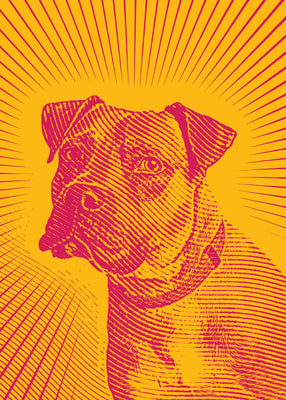 Bark sun rising 50x70 cm