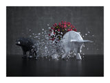 Bull Meets Resistance 30x40 cm