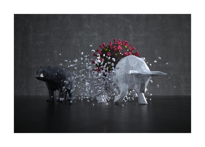 Bull Meets Resistance 50x70 cm