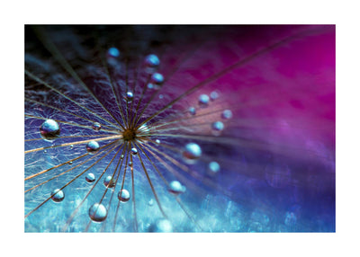 Dandy Drop 50x70 cm