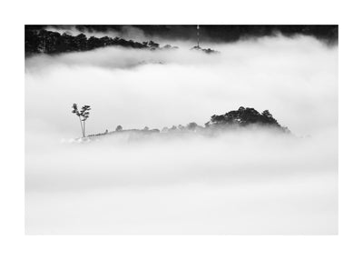 Dense Fog 50x70 cm