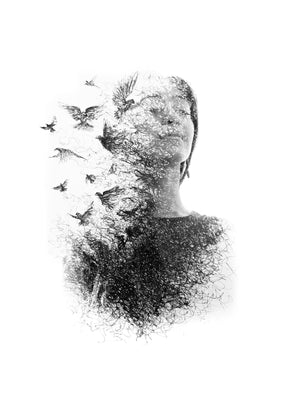 Fly Away 50x70 cm