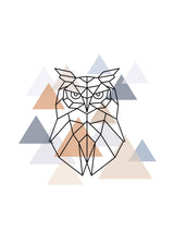Geometric Owl 50x70 cm