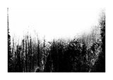 Grainy Grunge 50x70 cm
