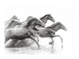 Herd Of Wild Horses 30x40 cm