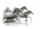 Herd Of Wild Horses 50x70 cm
