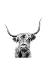 Highland Cow 30x40 cm