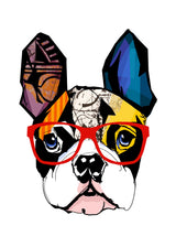 Hipster dog 50x70 cm