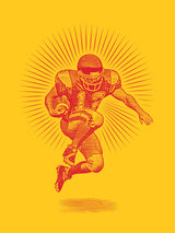 Touchdown 30x40 cm