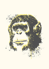 Julius 50x70 cm