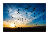 Land, Sea And Air 50x70 cm