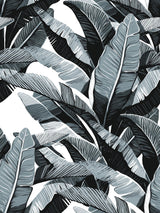 Leaving Banana 30x40 cm