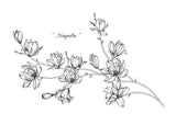 Magnolia 50x70 cm
