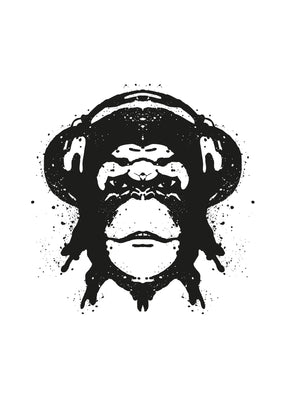 Portrait Of Ape 50x70 cm
