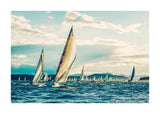 Sailing to win it 50x70 cm