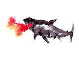 Shark Out Of Water 30x40 cm