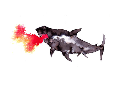 Shark Out Of Water 50x70 cm