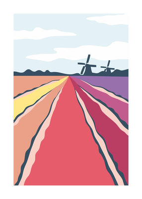 Tulip Fields 50x70 cm