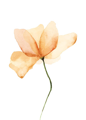 flower pastel 50x70 cm