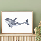 Marine Orca Illustration mood picture