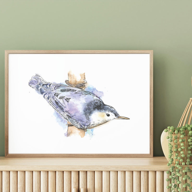 Watercolour Nuthatch mood picture