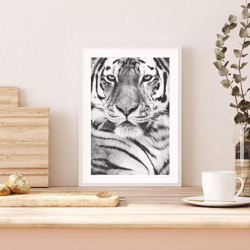 Portrait of Tiger I mood picture