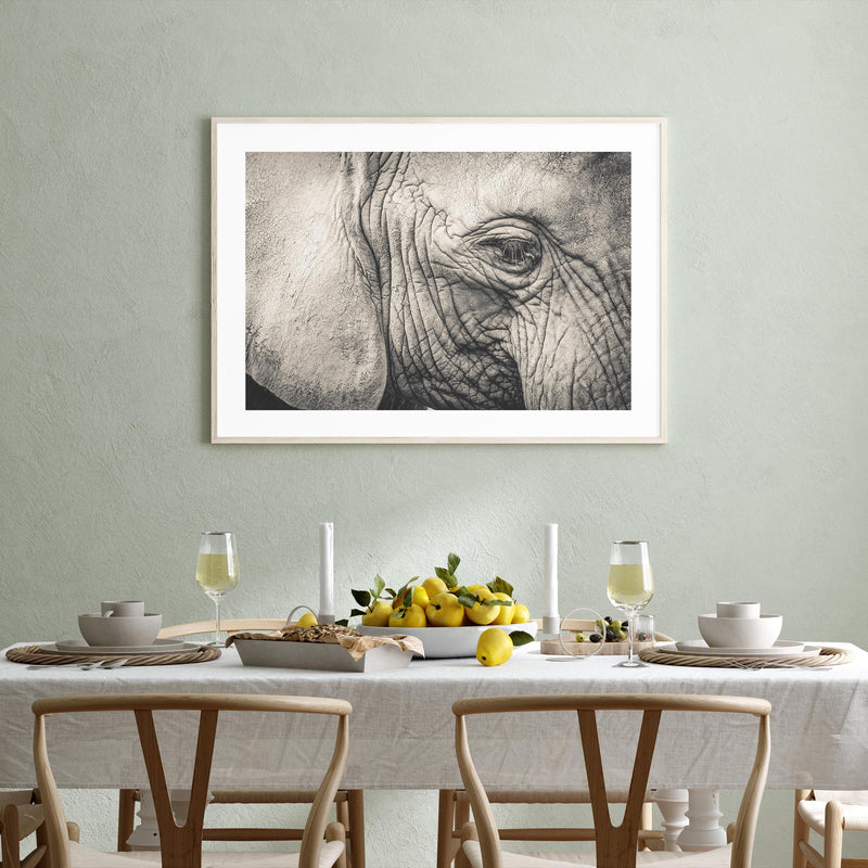 Elephant Remembers mood picture