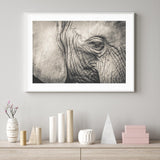 Elephant Remembers mood picture
