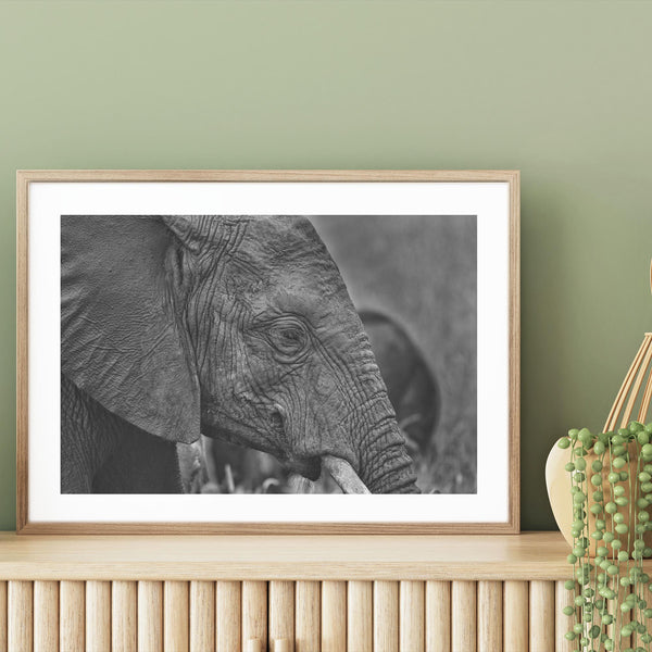 Thoughtful Elephant mood picture