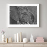 Thoughtful Elephant mood picture