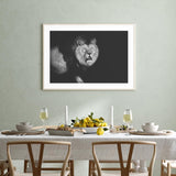 Lion Walking into Frame mood picture