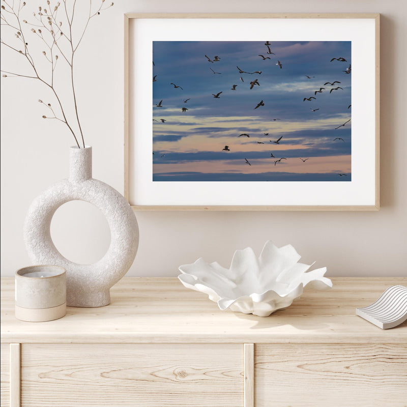 Seagulls Soaring mood picture