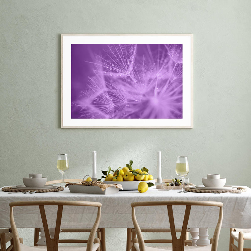 Purple Dandelion II mood picture