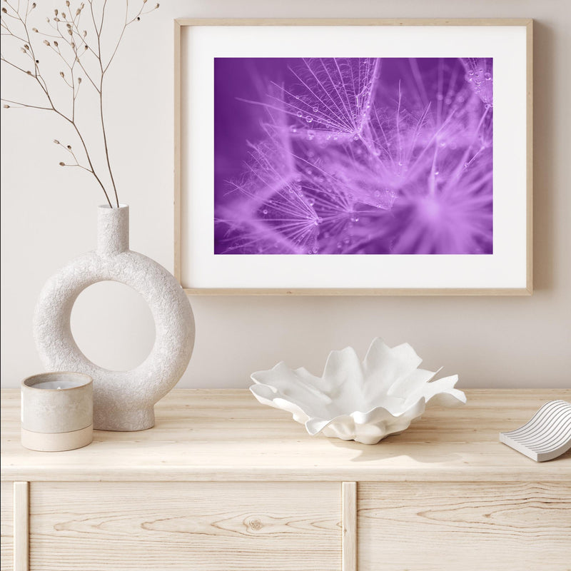 Purple Dandelion II mood picture