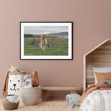 Icelandic Horse in the Meadow mood picture
