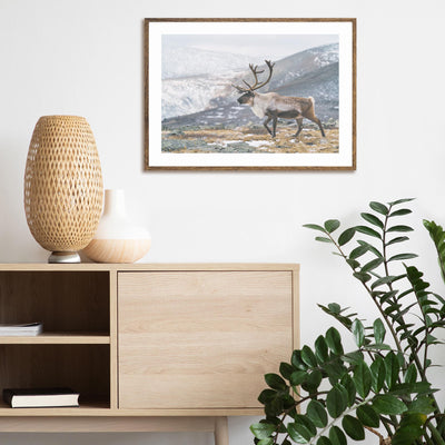 I Rein the Mountains mood picture