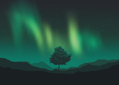 Aurora and the tree 50x70 cm