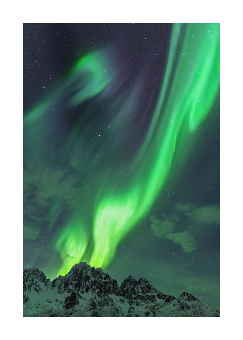 Aurora over Lofoten III 50x70 cm