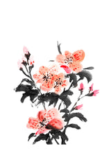 Azalea Flowers 50x70 cm