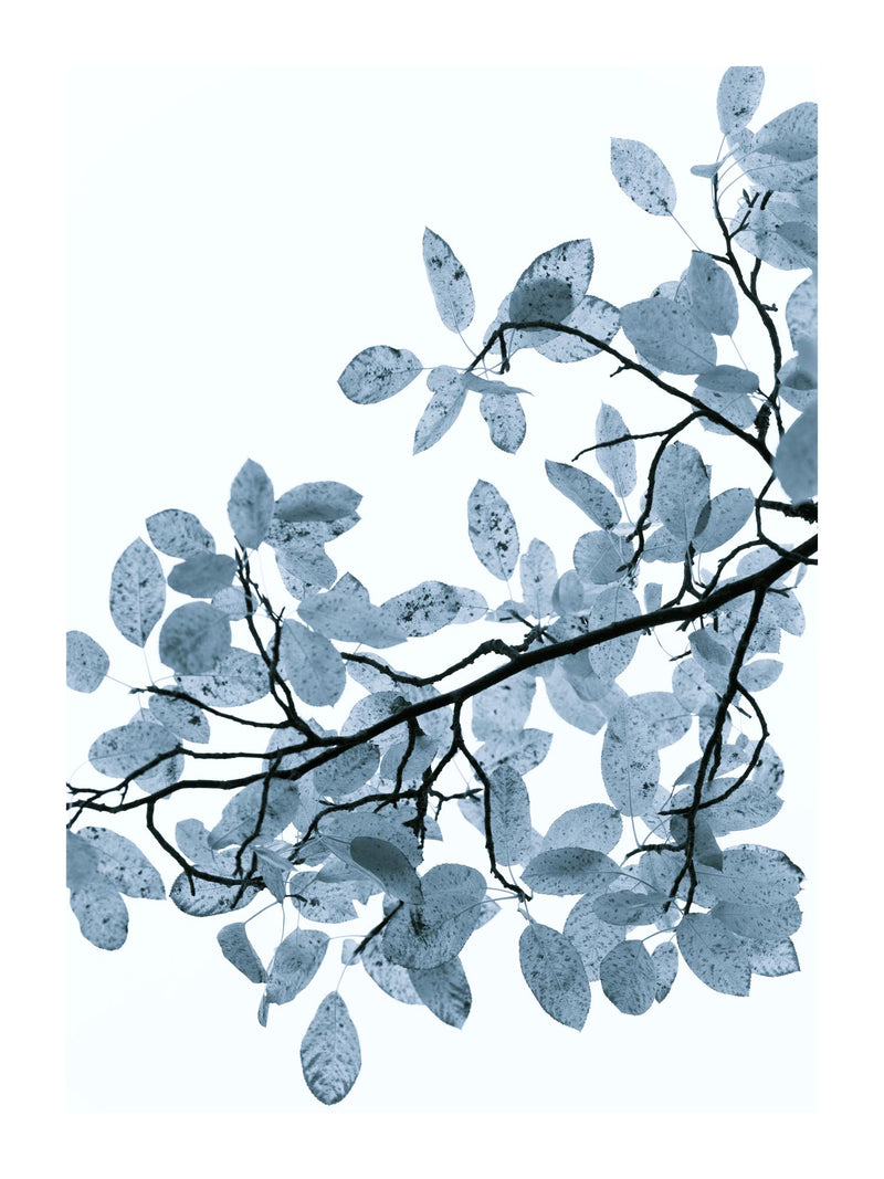 Blue Toned Leaves 30x40 cm