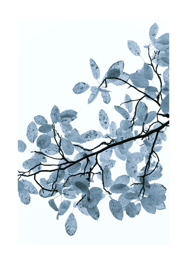 Blue Toned Leaves 50x70 cm