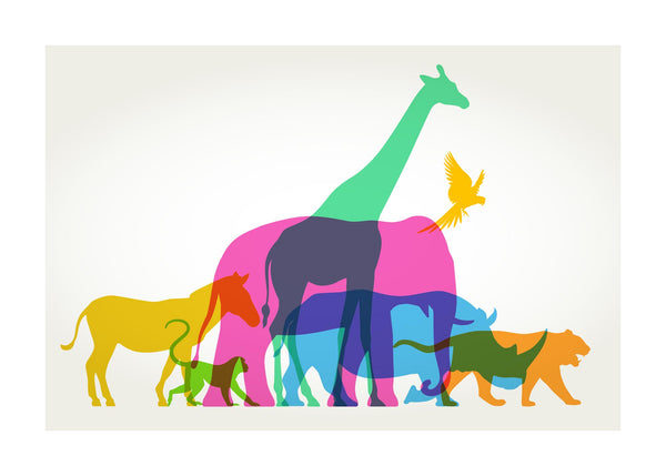 Colourful Animals 50x70 cm