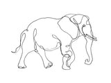 Line Art Of Elephant 30x40 cm